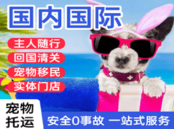 乌兰察布机场货运国际宠物托运 【国